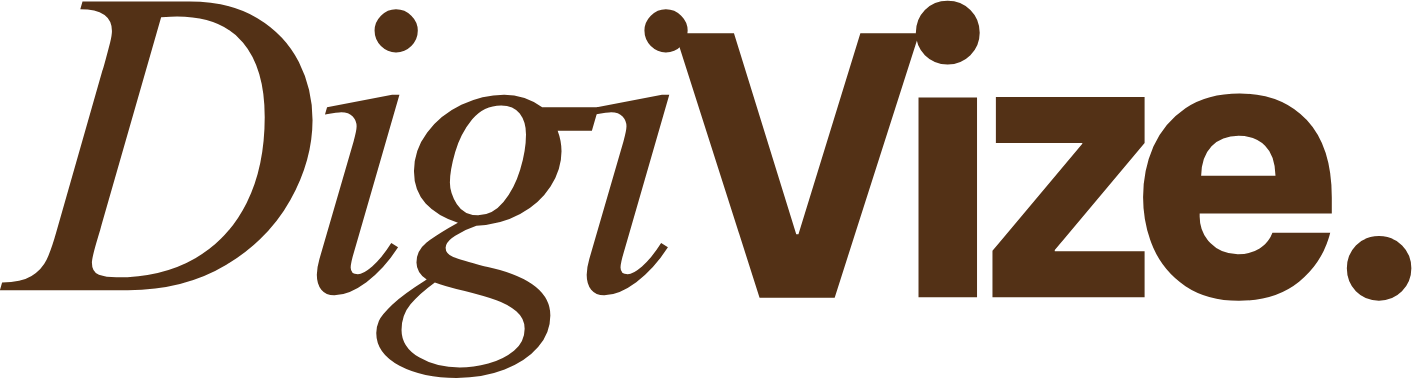 Logo DigiVize, agence de marketing digital à Rabat
