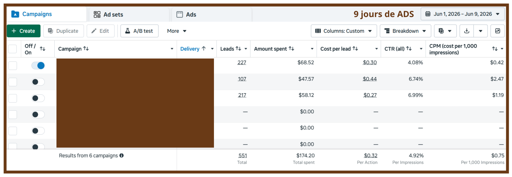 Capture Meta Ads — immobilier : 551 leads en 9 jours